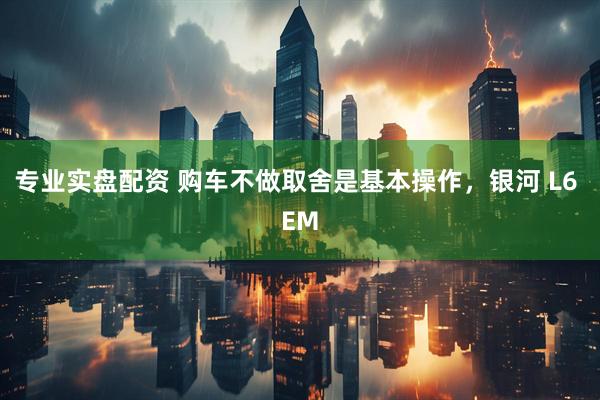 专业实盘配资 购车不做取舍是基本操作，银河 L6 EM