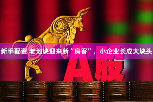 新手配资 老地块迎来新“房客”，小企业长成大块头